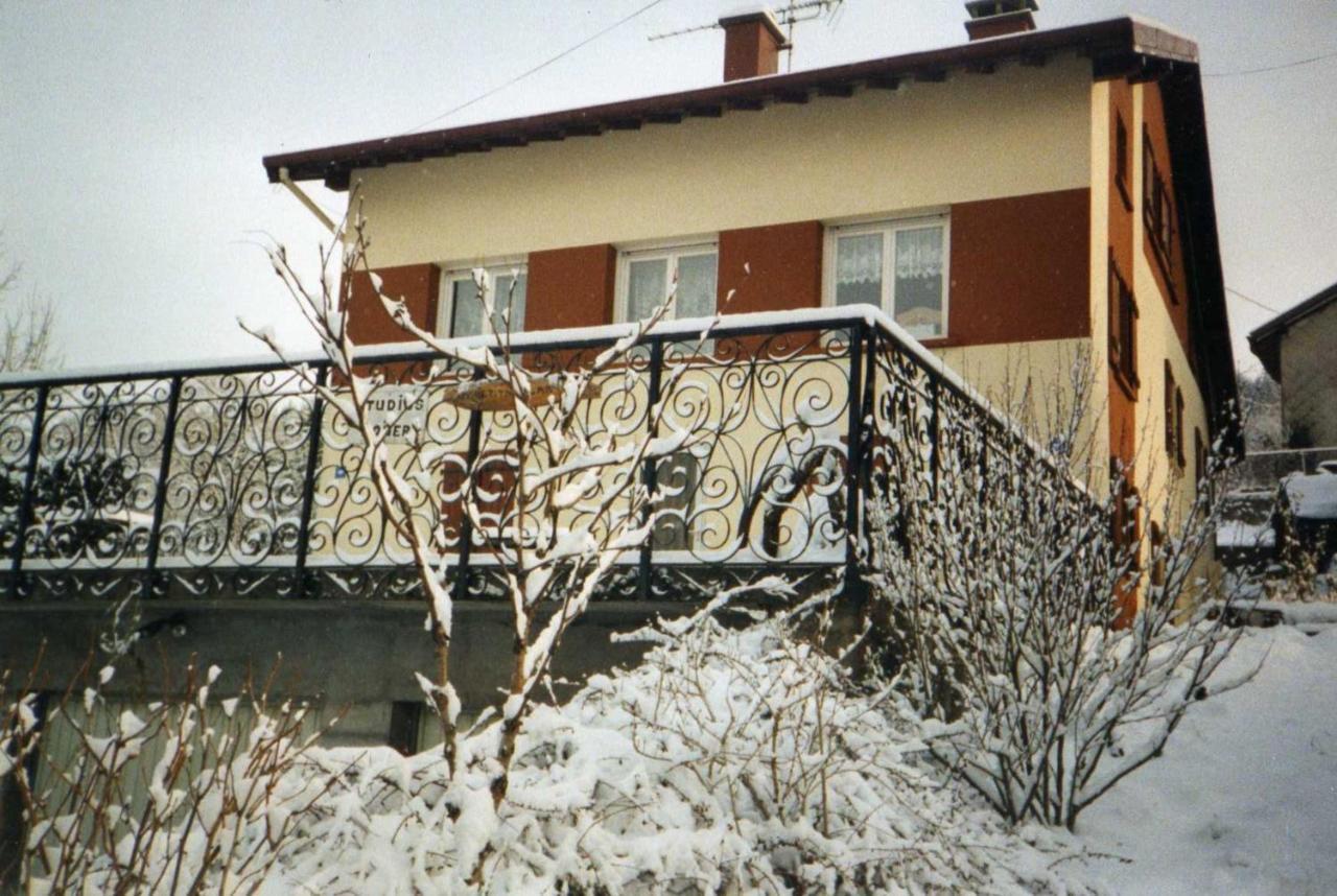 Studio Cosy Avec Vue Sur Lac Et Montagne A Gerardmer 30 M² Εξωτερικό φωτογραφία